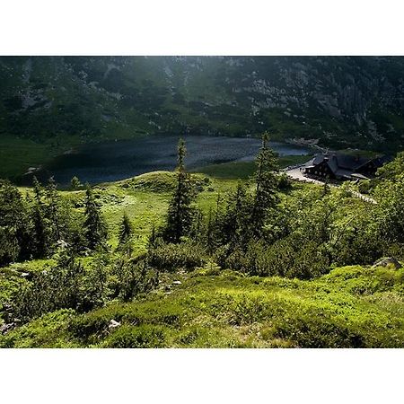 Хостел Schronisko Pttk Samotnia Карпач Экстерьер фото