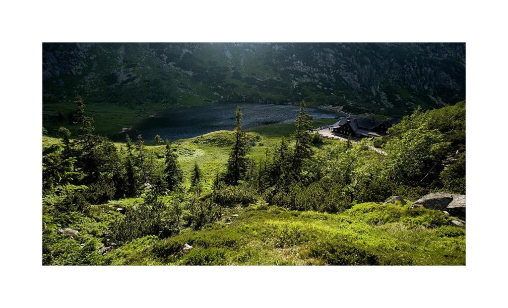 Хостел Schronisko Pttk Samotnia Карпач Экстерьер фото
